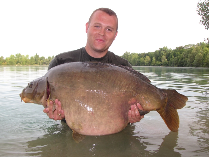 Fish  Gigantica