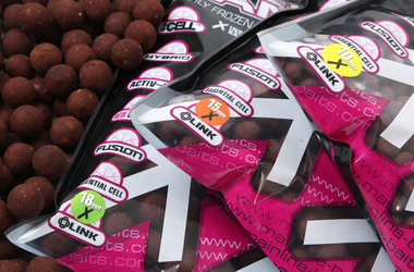 Dedicated Dedicated Freezer Boilies