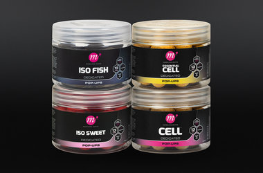 Dedicated Dedicated Base Mix Mini Pop-Ups